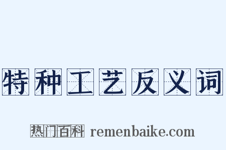 特种工艺反义词是什么意思的图片